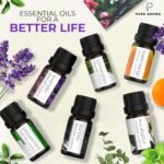 Essential Oils Set by Pure Aroma - Top 6 Aromatherapy Oils Gift Set-6 Pack, 10ml (Eucalyptus, Lavender, Lemongrass, Sweet Orange, Peppermint, Tea Tree) - Image 3