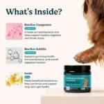 Probiotics for Dogs – Allergy Chews for Gut Health & Itchy Skin | With Prebiotic, 30 Soft Chews - Image 3