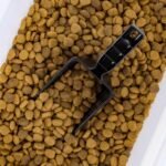 IRIS USA Dog Food Storage Container, Up to 54 lbs, Dark Gray, Made in USA | Includes 2-Cup Scoop & Wheels, Airtight Seal, BPA-Free, Bird Seed, Cat food, Cat Litter, Treats, Keeps Kibble Fresh - Image 8