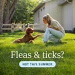 PetArmor Plus Flea & Tick Topical Dogs 89-132 lbs, 3-Month | Ideal for X-Large Dogs 89-132 lbs; Kills Fleas, Eggs, Larvae, Ticks & Lice; 3-month supply; Waterproof Nose-to-Tail - Image 12