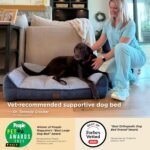 Bedsure SupportMax™ Extra Thick Orthopedic XL Dog Bed for Extra Large Dogs | 48" Premium Supportive Couch for Senior Dogs, Water-resistant Removable Washable Cover, Big Comfy Pet Sofa with Sherpa, Grey - Image 3