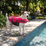 Outward Hound Granby Splash Pink Dog Life Jacket, Small - Image 9
