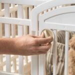 IRIS USA 4-Panel Dog Playpen, Pet Enclosure, White | Puppy Training, Configurable Layout, Multi-Shape Setup, Custom Pen Configuration, Secure Door Latch, Stable Non-Tip Base - Image 8