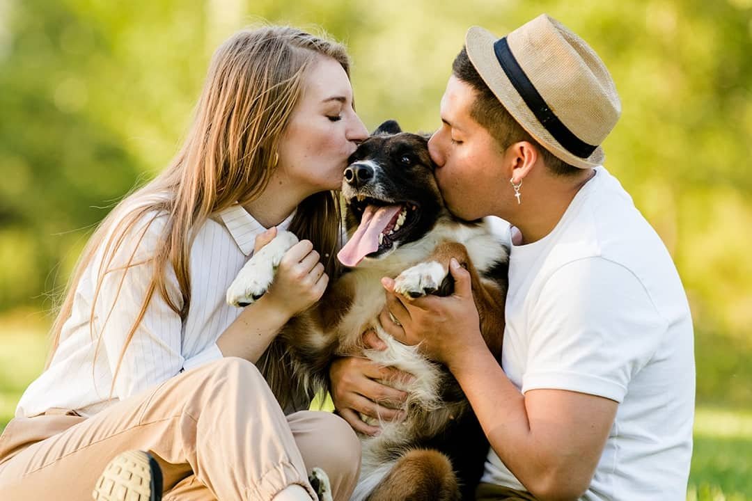 Survey: More than 80% of pet parents consider their pets to be family – KION Central Coast