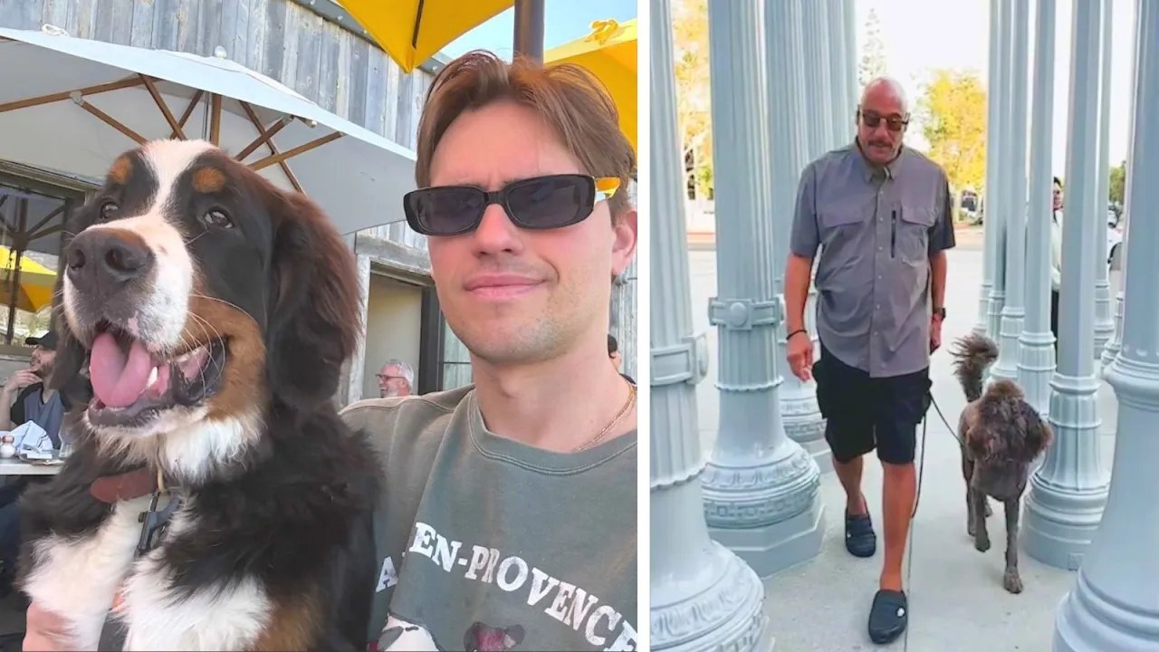Investigation launched after popular DJ’s dog dies in the care of pet boarding facility