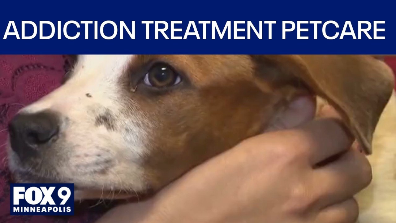 Partnership provides pet care for people in addiction treatment