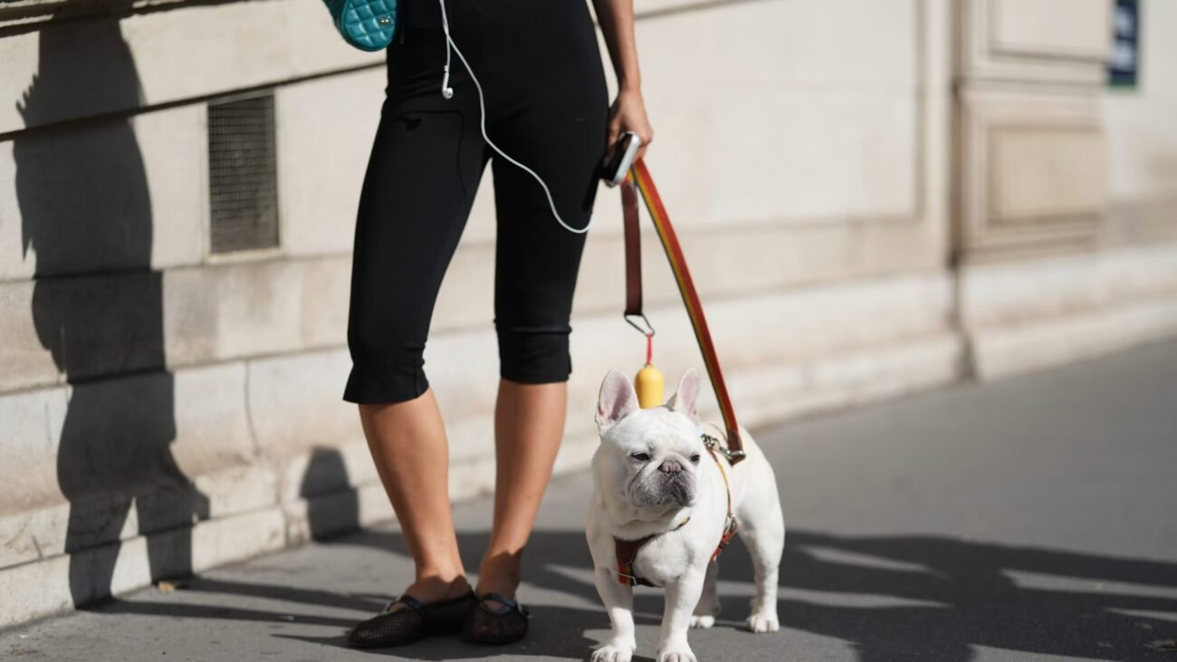 Jo Malone London Launches A Dog Shampoo